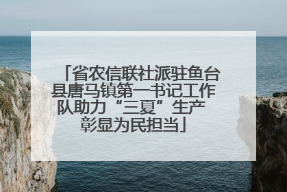省农信联社派驻鱼台县唐马镇第一书记工作队助力“三夏”生产 彰显为民担当