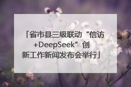 省市县三级联动“信访+DeepSeek”创新工作新闻发布会举行