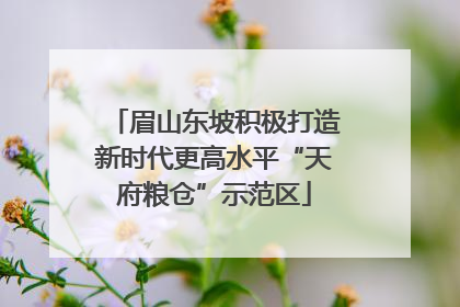 眉山东坡积极打造新时代更高水平“天府粮仓”示范区