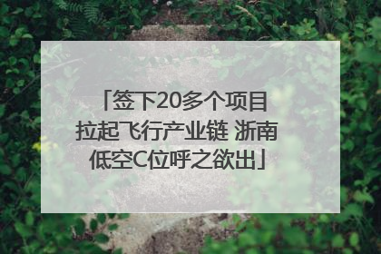 签下20多个项目 拉起飞行产业链 浙南低空C位呼之欲出