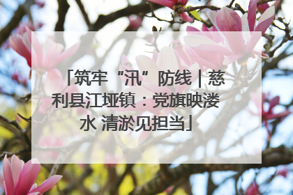 筑牢“汛”防线｜慈利县江垭镇：党旗映溇水 清淤见担当