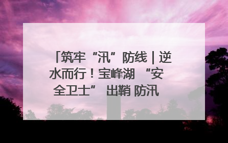 筑牢“汛”防线｜逆水而行！宝峰湖 “安全卫士” 出鞘 防汛应急再添硬核力量
