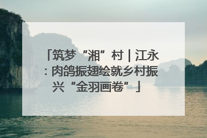筑梦“湘”村｜江永：肉鸽振翅绘就乡村振兴“金羽画卷”