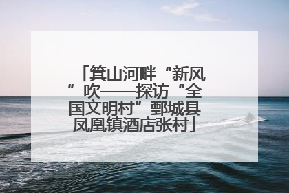 箕山河畔“新风”吹——探访“全国文明村”鄄城县凤凰镇酒店张村