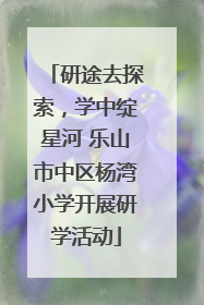 研途去探索，学中绽星河 乐山市中区杨湾小学开展研学活动