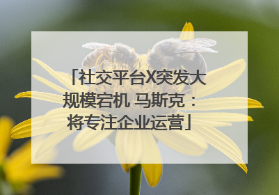 社交平台X突发大规模宕机 马斯克：将专注企业运营