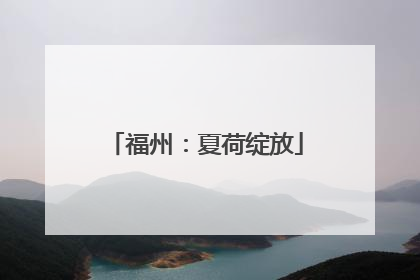 福州：夏荷绽放