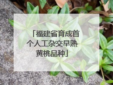 福建省育成首个人工杂交早熟黄桃品种