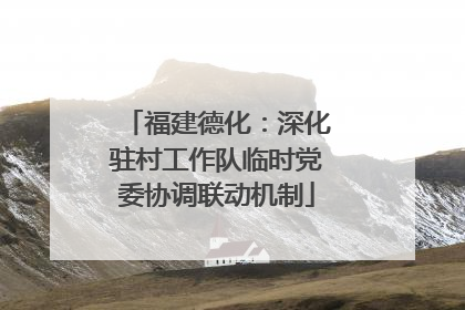 福建德化：深化驻村工作队临时党委协调联动机制