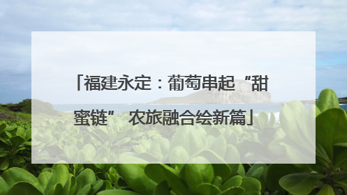 福建永定：葡萄串起“甜蜜链” 农旅融合绘新篇