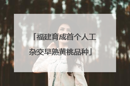 福建育成首个人工杂交早熟黄桃品种