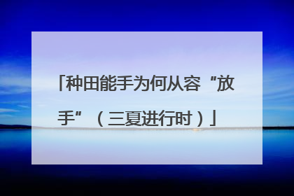 种田能手为何从容“放手”（三夏进行时）