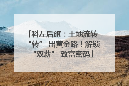 科左后旗：土地流转 “转” 出黄金路！解锁 “双薪” 致富密码