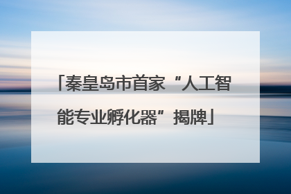 秦皇岛市首家“人工智能专业孵化器”揭牌