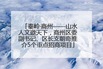 秦岭·商州——山水人文邀天下，商州区委副书记、区长支朝奇推介5个重点招商项目