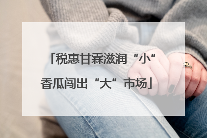 税惠甘霖滋润“小”香瓜闯出“大”市场