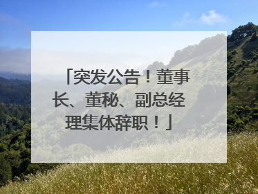 突发公告！董事长、董秘、副总经理集体辞职！
