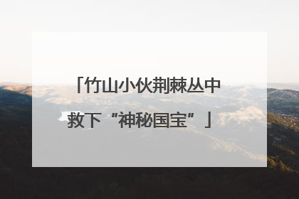 竹山小伙荆棘丛中救下“神秘国宝”