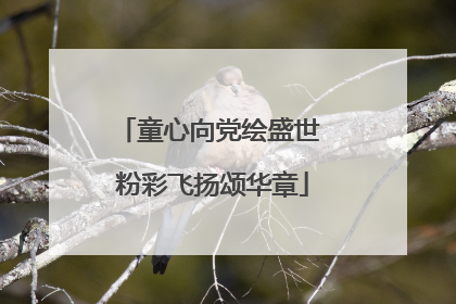 童心向党绘盛世 粉彩飞扬颂华章