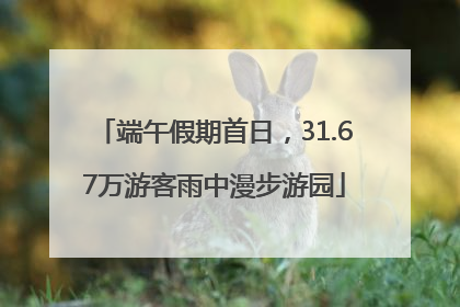 端午假期首日，31.67万游客雨中漫步游园