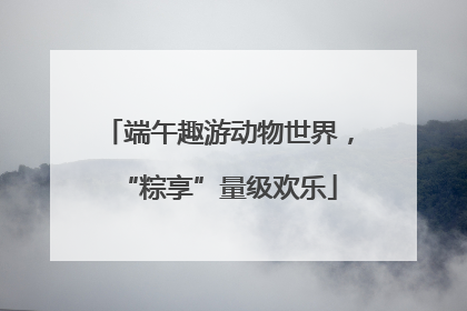 端午趣游动物世界，“粽享”量级欢乐