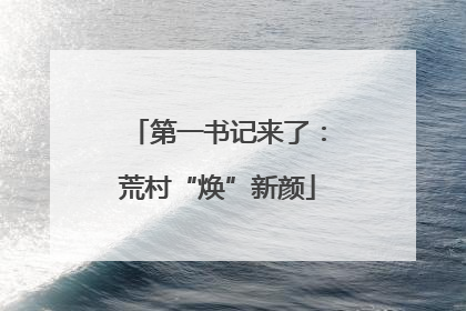 第一书记来了：荒村“焕”新颜