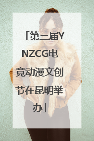第三届YNZCG电竞动漫文创节在昆明举办