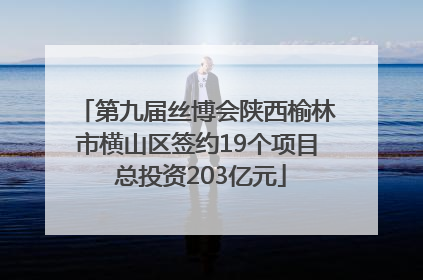 第九届丝博会陕西榆林市横山区签约19个项目 总投资203亿元