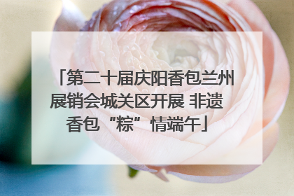 第二十届庆阳香包兰州展销会城关区开展 非遗香包“粽”情端午