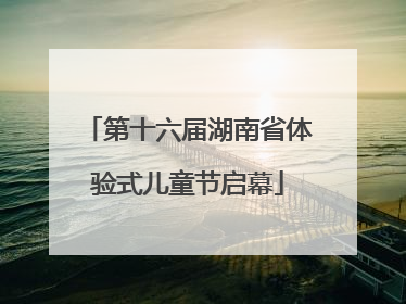 第十六届湖南省体验式儿童节启幕