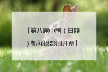 第八届中国（日照）新闻摄影周开幕
