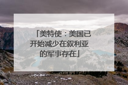 美特使：美国已开始减少在叙利亚的军事存在