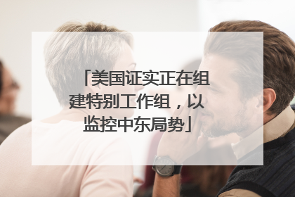 美国证实正在组建特别工作组，以监控中东局势