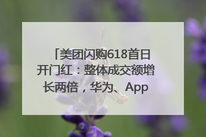 美团闪购618首日开门红：整体成交额增长两倍，华为、Apple、沃尔玛等近800个品牌翻倍增长