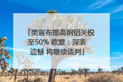 美宣布提高钢铝关税至50% 欧盟：深表遗憾 将继续谈判