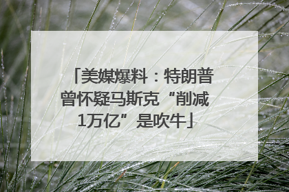 美媒爆料：特朗普曾怀疑马斯克“削减1万亿”是吹牛
