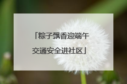 粽子飘香迎端午 交通安全进社区