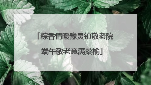 粽香情暖豫灵镇敬老院 端午敬老意满桑榆