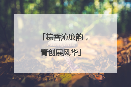 粽香沁廉韵，青创展风华