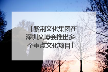 紫荆文化集团在深圳文博会推出多个重点文化项目