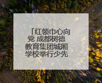红领巾心向党 成都树德教育集团城厢学校举行少先队入队仪式