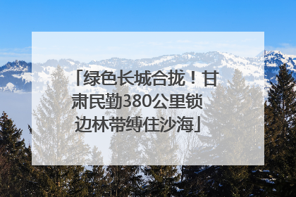 绿色长城合拢！甘肃民勤380公里锁边林带缚住沙海