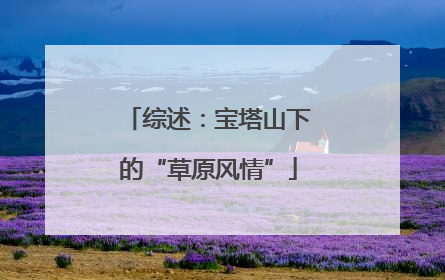 综述：宝塔山下的“草原风情”