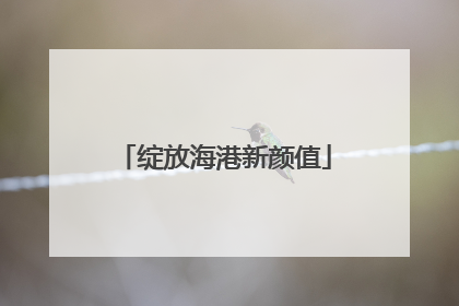 绽放海港新颜值