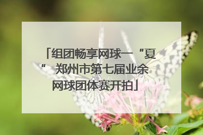 组团畅享网球一“夏” 郑州市第七届业余网球团体赛开拍