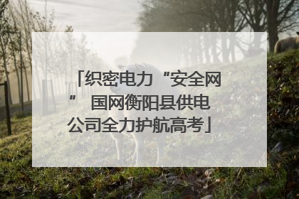 织密电力“安全网” 国网衡阳县供电公司全力护航高考