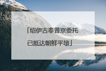 绍伊古奉普京委托已抵达朝鲜平壤