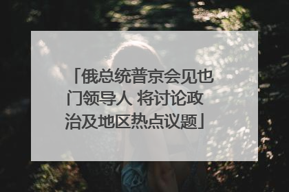 俄总统普京会见也门领导人 将讨论政治及地区热点议题
