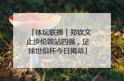 体坛联播｜郑钦文止步伦敦站四强，足球世俱杯今日揭幕