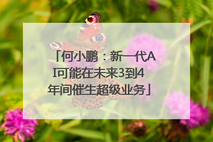 何小鹏：新一代AI可能在未来3到4年间催生超级业务